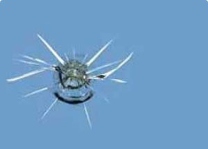 Windshield Chip Repair Services